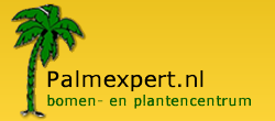 Bezoek Palmexpert.nl